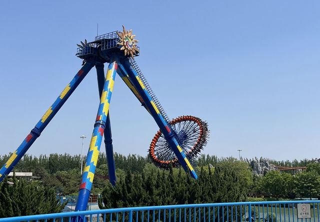 德州春日限定｜少女心爆棚打卡指南