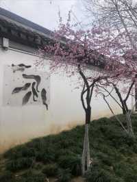 南京｜胡家花園裡的金陵春天