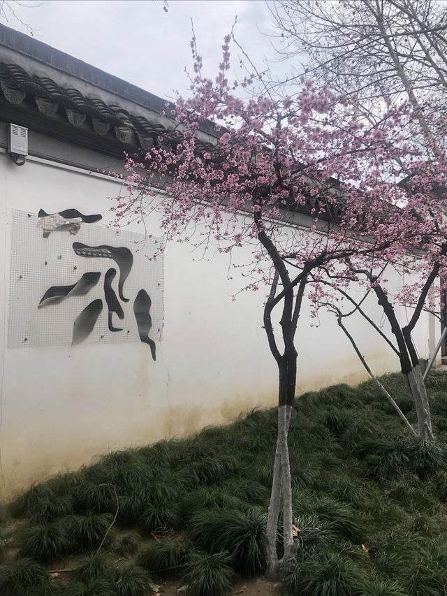 南京｜胡家花園裡的金陵春天
