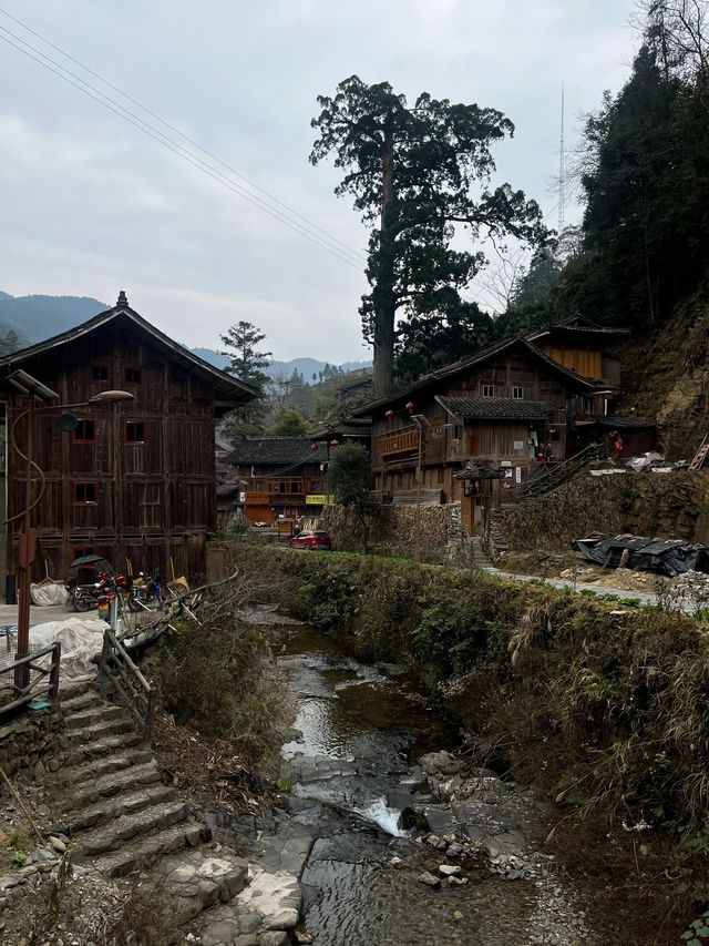 清明3日遊雷山 美到不想回家