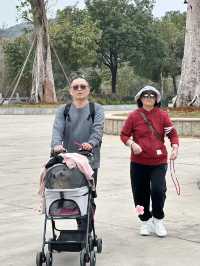 東華禪寺的櫻花太美啦