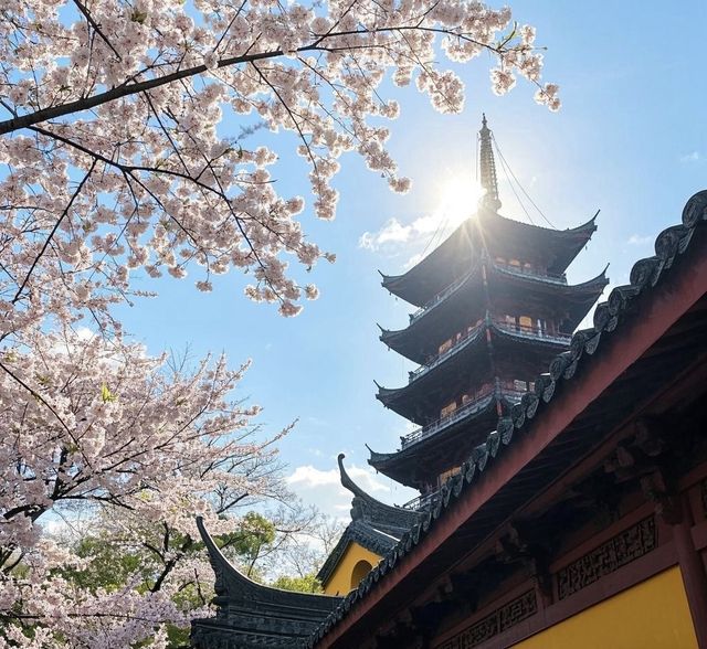 南京櫻花季最詳細攻略 南京櫻花季最詳細攻略