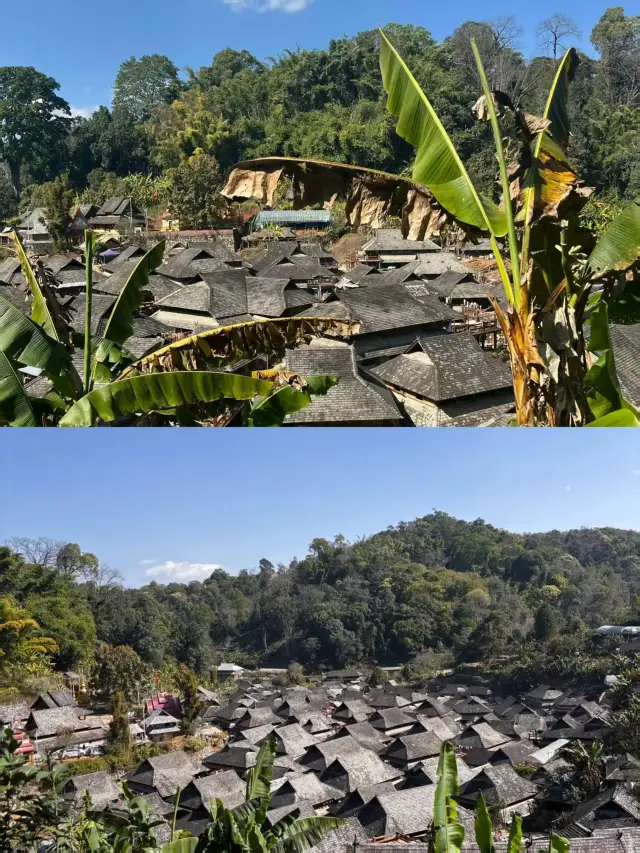 Finally conquered Jingmai Mountain!