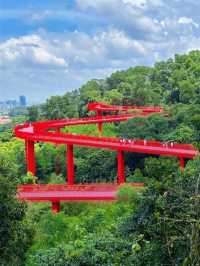 深圳虹橋公園 | 藏在城市裡的「紅色飄帶」！森林徒步+空中棧橋