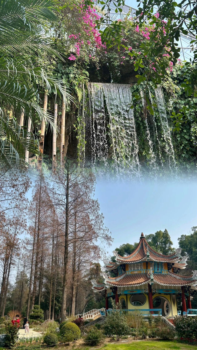 武漢植物園實況，賞鬱金香嘅朋友仔唔好摸門釘！！