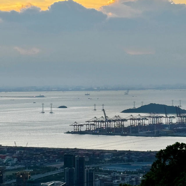 深圳南山公園的夜景太驚艷了！