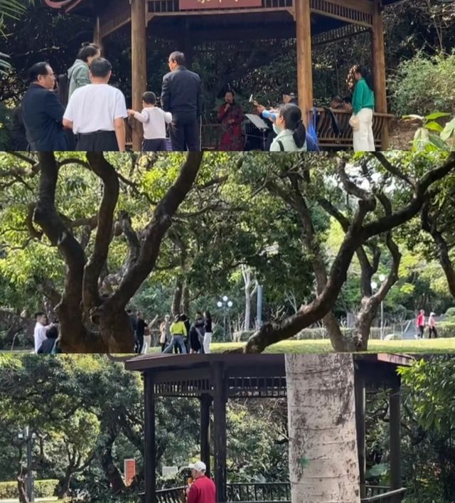 深圳中山公園，週末不要錯過！