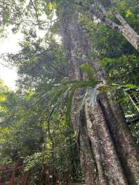 五指山2天遊 玩轉全景不留遺憾