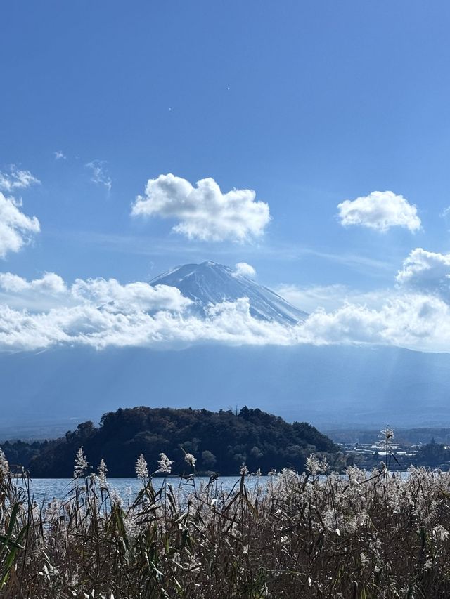 6日小長假 玩轉日本不後悔