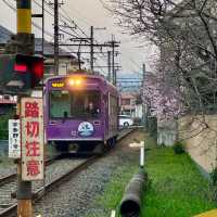 日本京都私藏賞櫻秘境｜空氣都瀰漫著浪漫櫻花香🌸