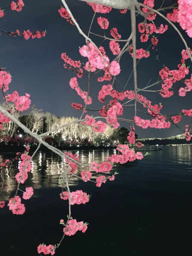 Spring Special | Encounter a Sea of Beautiful Peach Blossoms in Hangzhou