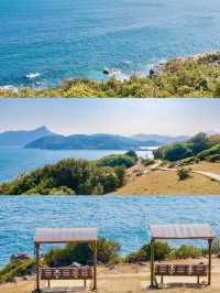 香港塔門島｜一日遊睇海行山攻略（附路線）