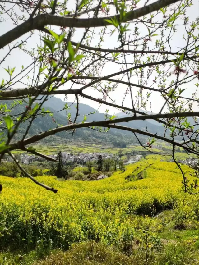 When Ancient Huizhou Villages Meet Golden Oceans—