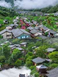 上個週末去咗葛仙村，朋友圈嘅人都問爆咗，因為…