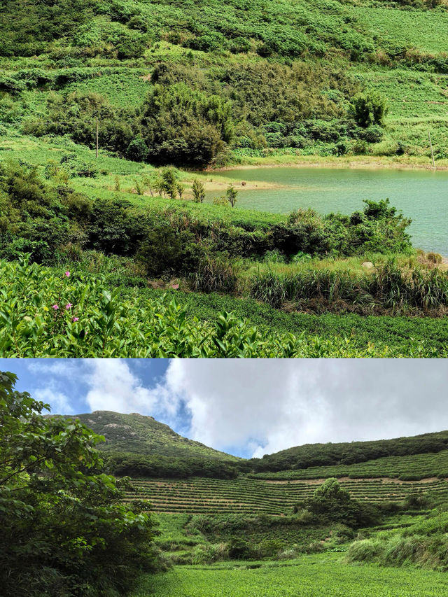 大嵛山島——邂逅現實版的綠野仙蹤