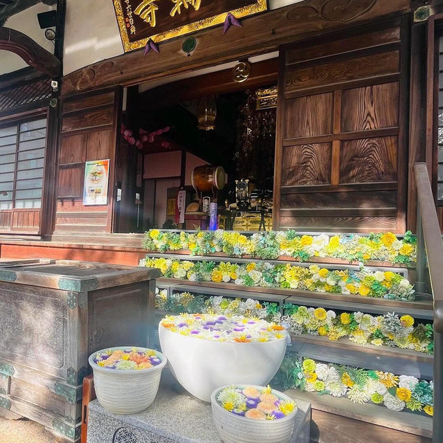 東京一定要帶走的！法輪寺御守！