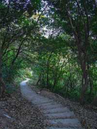 #尋蹤廣州潯峰山生態公園，邂逅自然之美