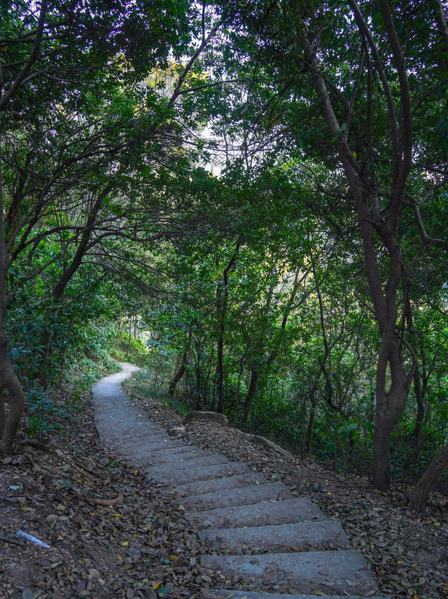 #尋蹤廣州潯峰山生態公園，邂逅自然之美