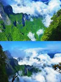 張家界旅遊文案及攻略：仙境之旅，邂逅奇峰異石