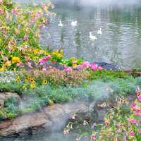 誤入莫奈花園！南京五一最佳旅行地