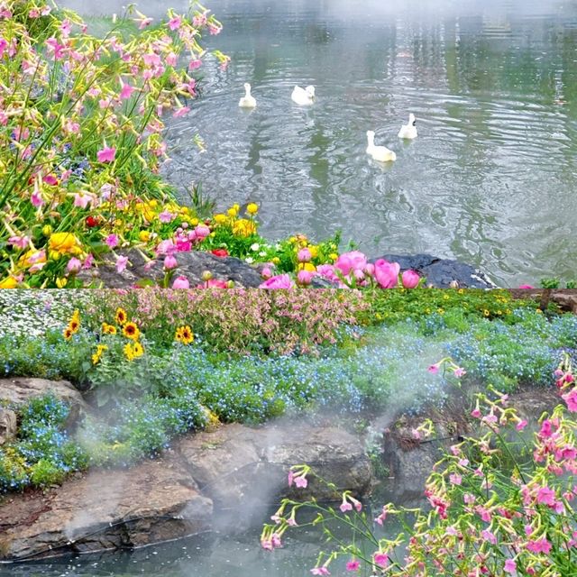 誤入莫奈花園！南京五一最佳旅行地