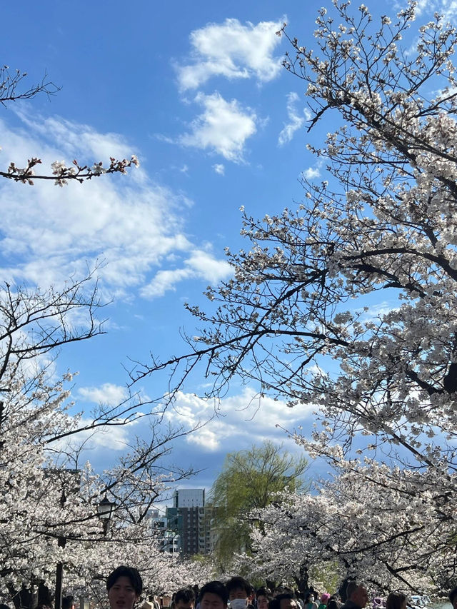 東京上野恩賜公園——一個讓人流連忘返的綠意角落