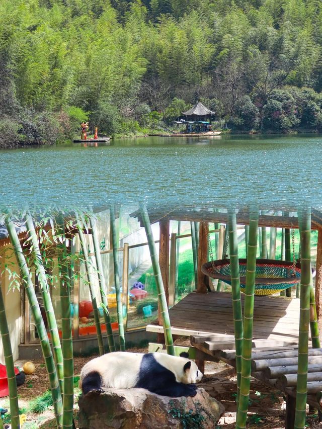 溧陽天目湖溫泉之旅｜冬日裡的溫暖治癒