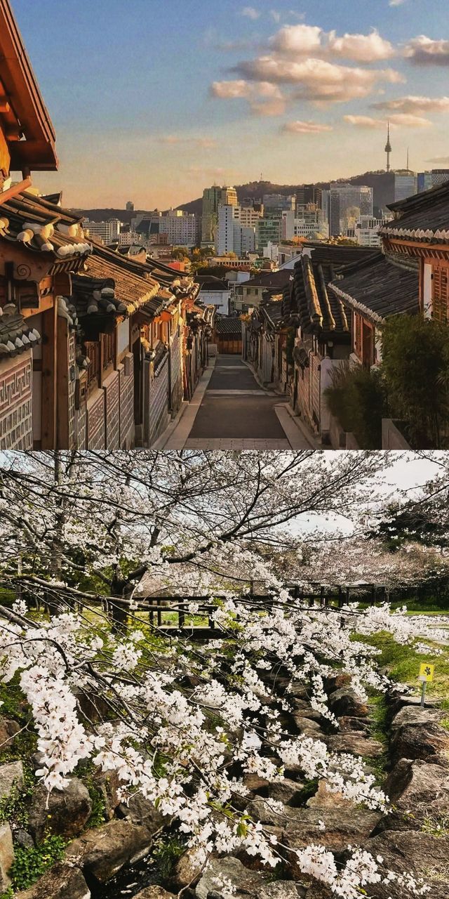 濟州島牛島單車遊攻略 | 闖入果凍海的夢幻世界！
