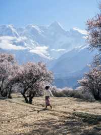 《國家地理》果然沒騙我春天的林芝美到失語