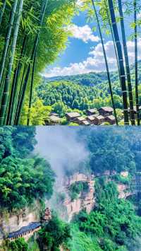 《十里埋伏》蜀南竹海