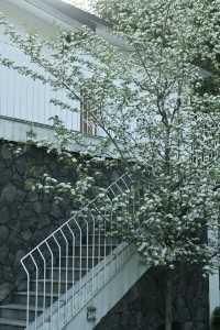 浙江周邊staycation | 余姚民宿 | 短途旅行好去處