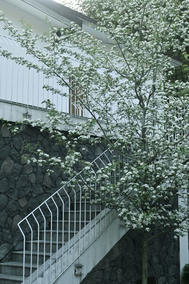 浙江周邊staycation | 余姚民宿 | 短途旅行好去處