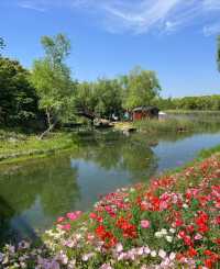 虎丘濕地公園
