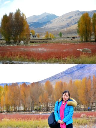 This is Daocheng, not Yading