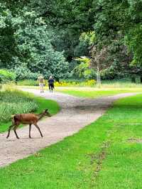 Wollaton Hall and Gardensand Deer Park in Nottingham 