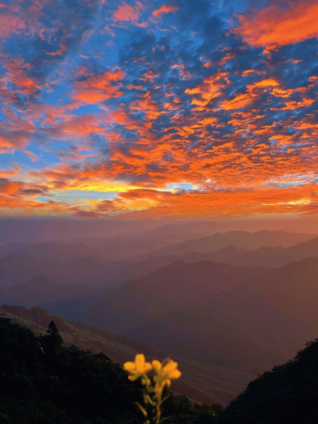 避暑都係要去山入面喔⛰️九宮山