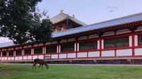 奈良東大寺，千年古剎的寂靜詩篇