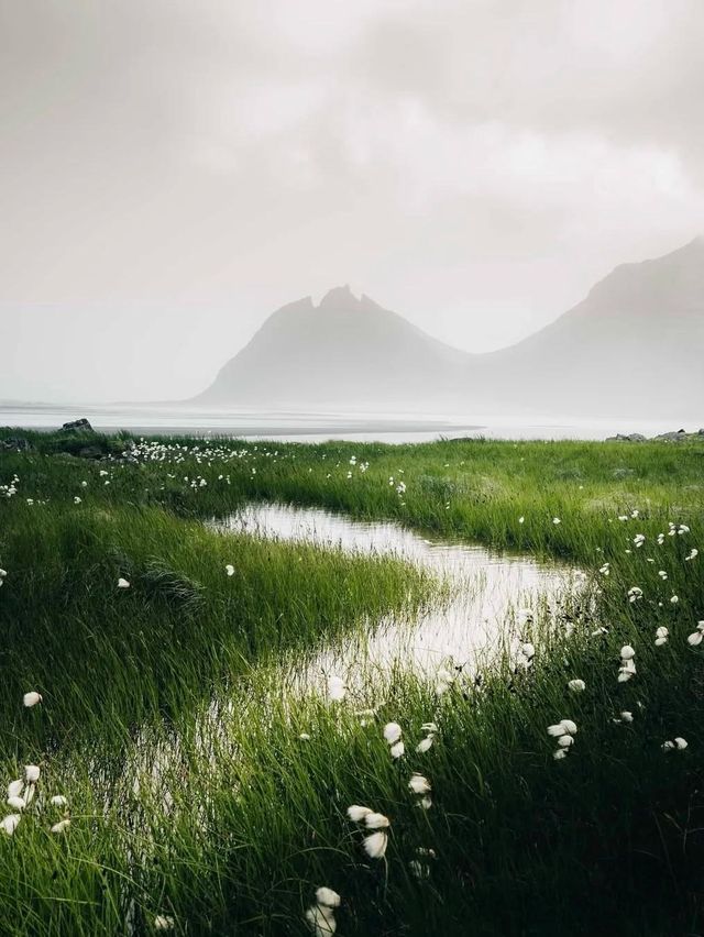 意想不到｜冰島的夏天這麼治癒