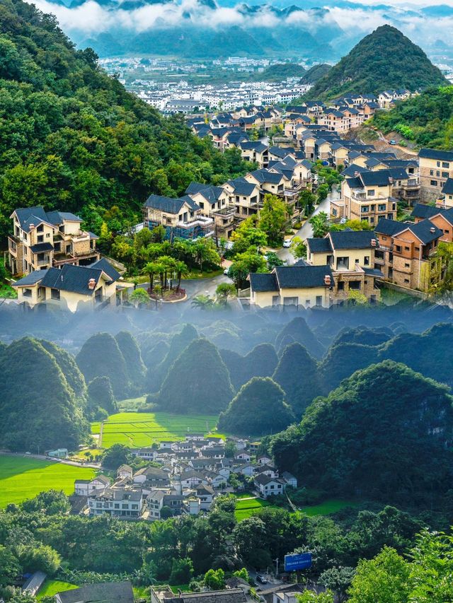 大明山全攻略徒步觀景露營全體驗