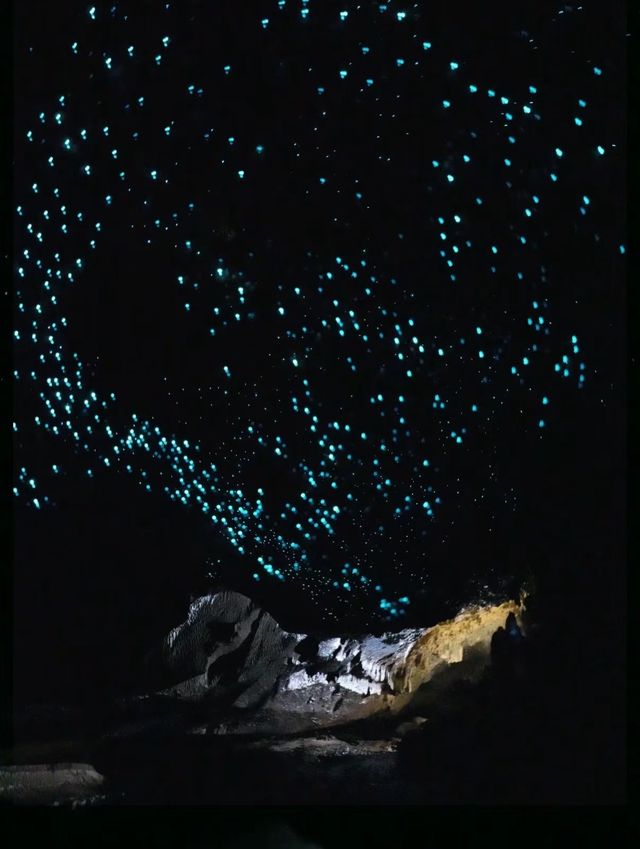【澳洲VS新西蘭】糾結星人必睇