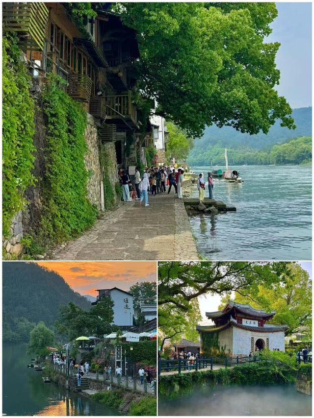 三刷麗水，講啲難聽大實話