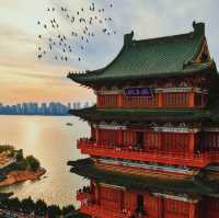 夜遊滕王閣攻略🌉登樓後真的太美了！！