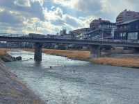 端午快閃京都鴨川：古韻河川的夏日風情指南
