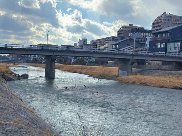 端午快閃京都鴨川：古韻河川的夏日風情指南