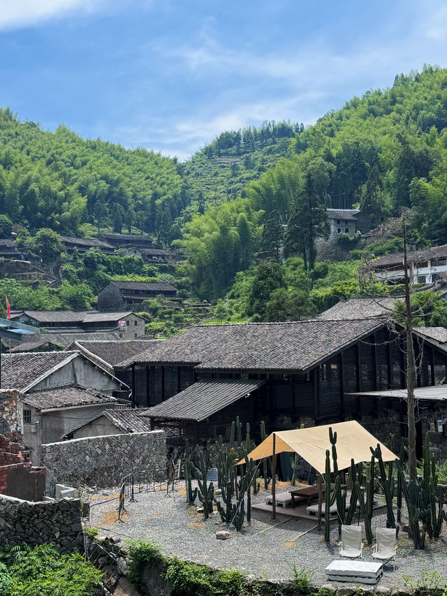 溫州｜我宣佈呢度係溫州最有格調嘅鄉村