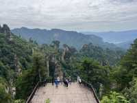 Magical 4 days in Zhangjiajie Park 
