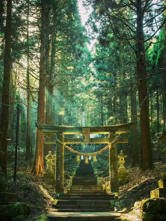 探索騰林蔓谷｜綠野仙蹤，邂逅九州