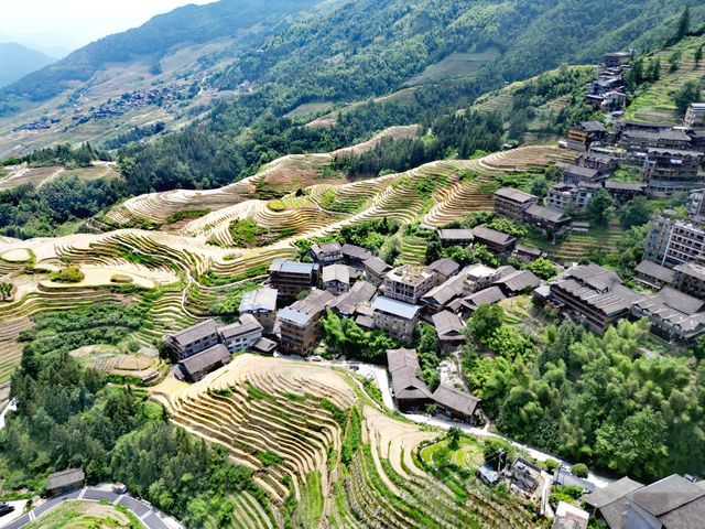 人少景靚仲有節慶！龍脊梯田6月限時仙境