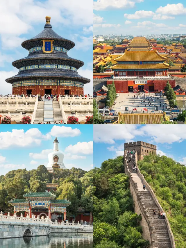 【A Must-Take High-Speed Rail Journey for Kids | Let Growth Begin Here】