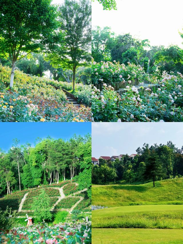 挑戰普瑞最難球洞！職業選手VS業餘新手，差距有幾大？